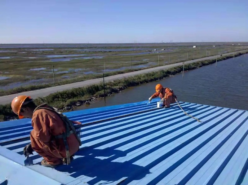 襄城钢结构屋面漏水原因